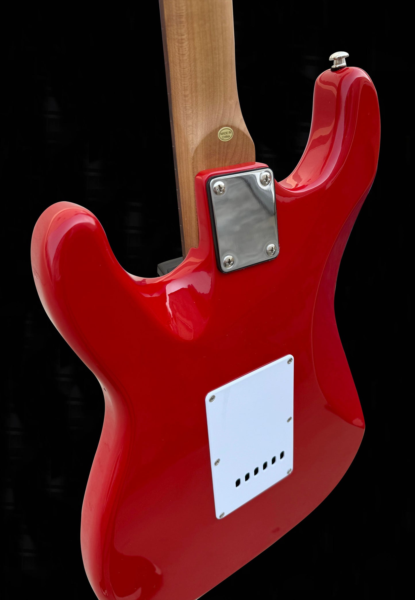 Firefly FFST CLASSIC MODEL ELECTRIC GUITARS (Flower Color )